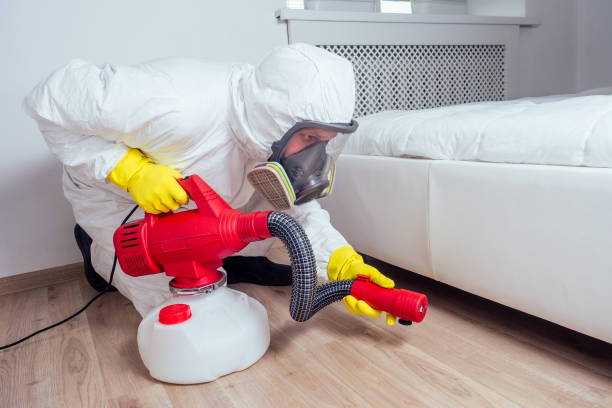 Flea Control Services in Canton, TX