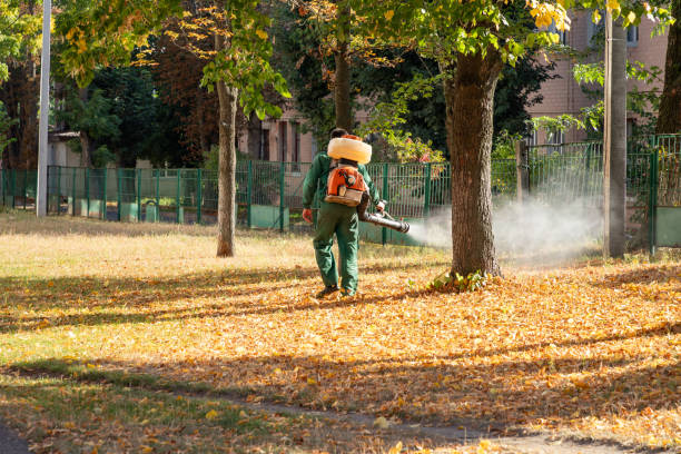 Best Mosquito Control Services  in Canton, TX