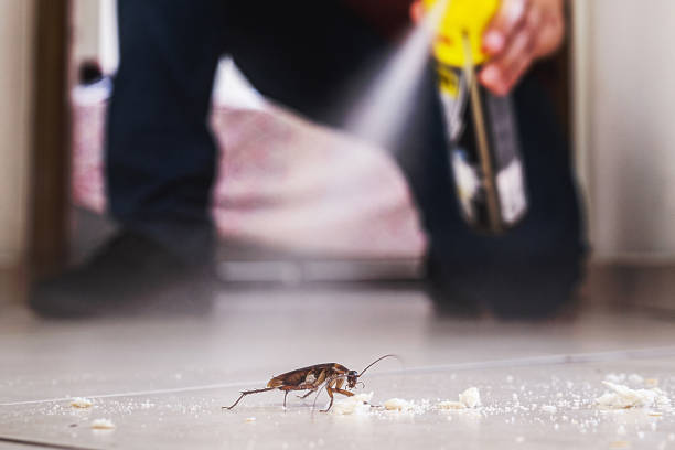 Canton, TX Pest Control Company