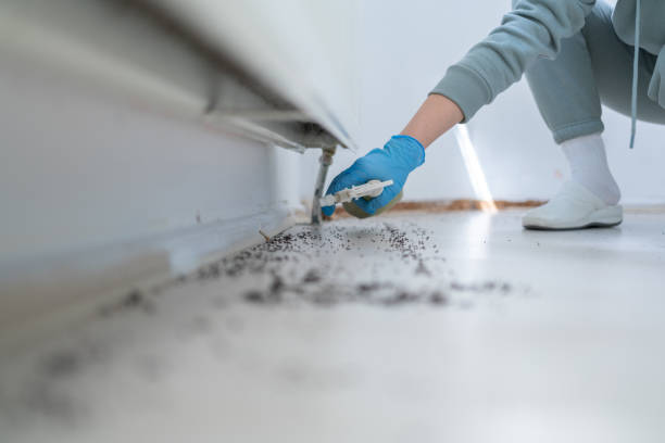 Best Affordable Pest Control Services  in Canton, TX