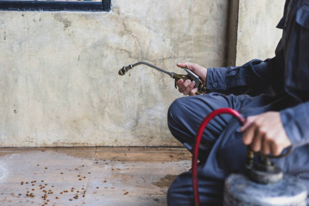 Best Pest Prevention Services  in Canton, TX